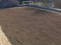 Gründach fertig zum Bepflanzen